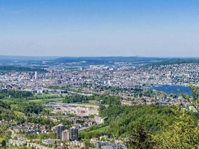 Einfamilienhaus kaufen in Einigen, Zürich