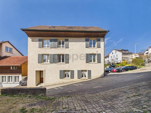 Mehrfamilienhaus kaufen in Läufelfingen, Basel-Landschaft