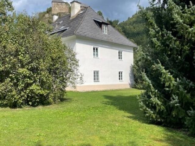 Mehrfamilienhaus kaufen in Dürnstein in der Steiermark, Neumarkt in der Steiermark