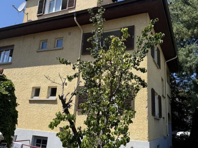 Immobilie kaufen in Bregenz, Vorarlberg