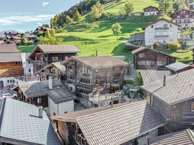 Wohnung kaufen in Ergisch, Wallis