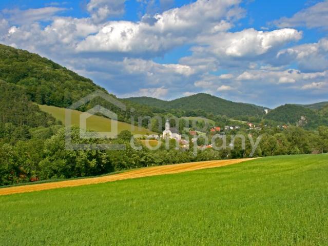 Haus kaufen in Altenmarkt an der Triesting, Niederösterreich
