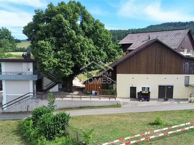 Einfamilienhaus kaufen in Weiach, Zürich