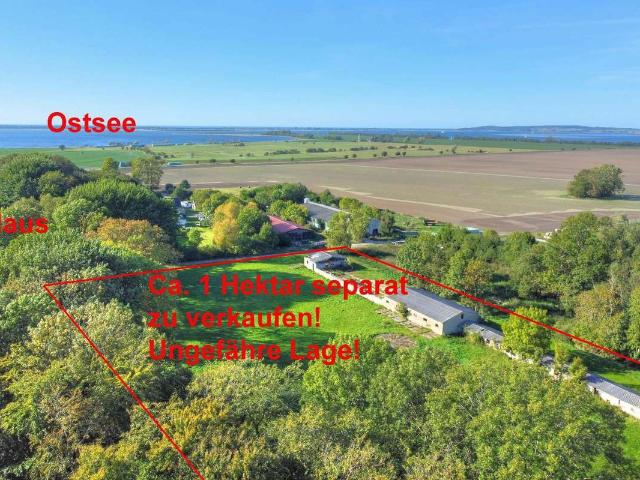 Haus kaufen in Schaprode, Vorpommern-Rügen