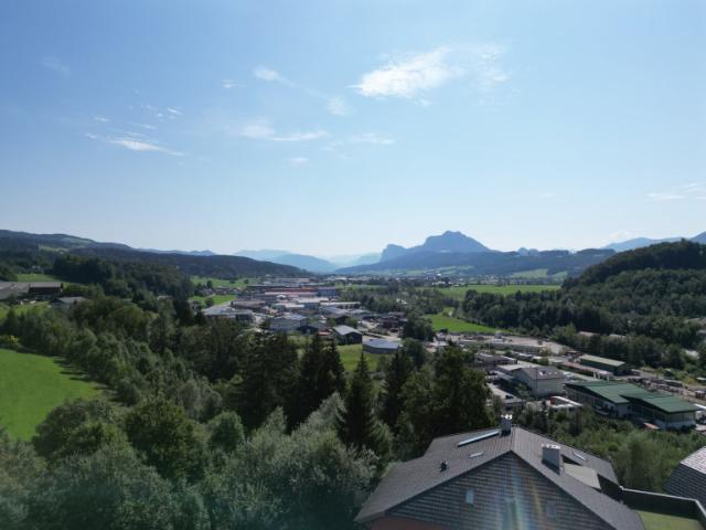 Haus kaufen in Thalgau