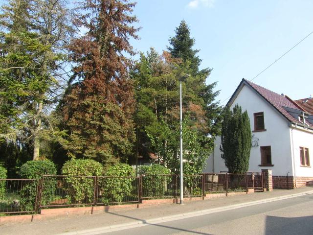 Haus kaufen in Offstein, Landkreis Alzey-Worms