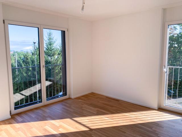 Immobilie kaufen in Schwarzenbach (SG), St. Gallen