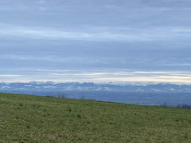 Grundstück kaufen in Perg, Oberösterreich