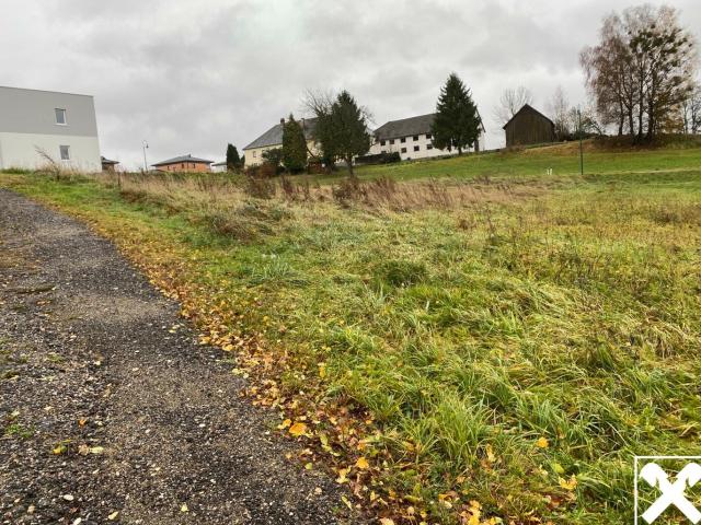 Grundstück kaufen in Münzbach, Oberösterreich