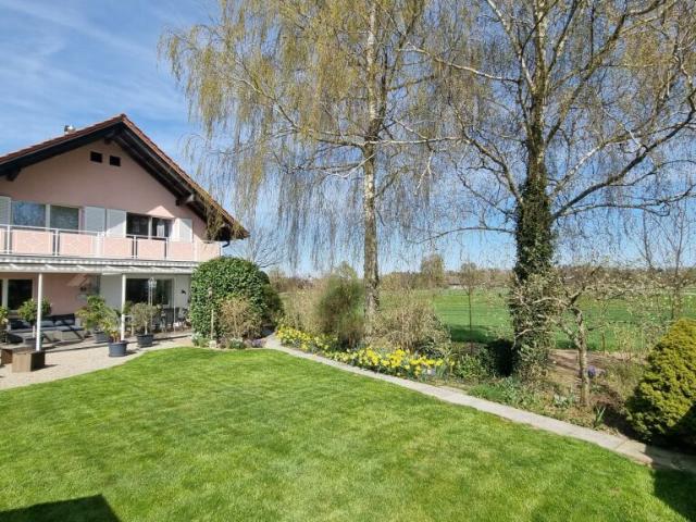 Einfamilienhaus kaufen in Siegershausen, Thurgau