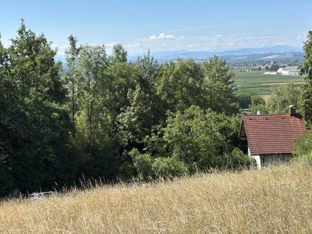 Grundstück kaufen in Perg, Oberösterreich