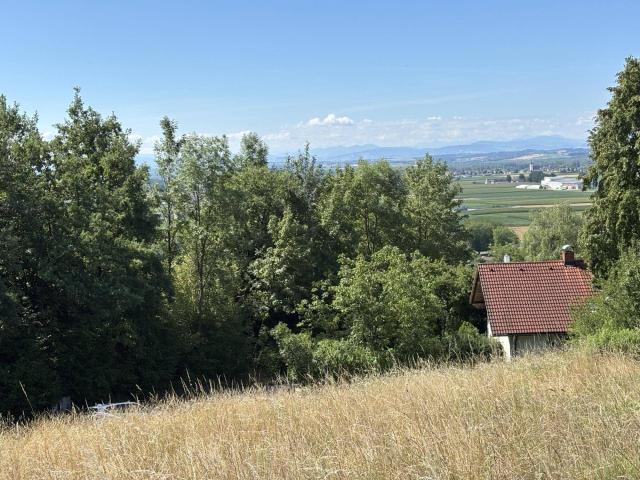 Immobilie kaufen in Lanzenberg, Perg