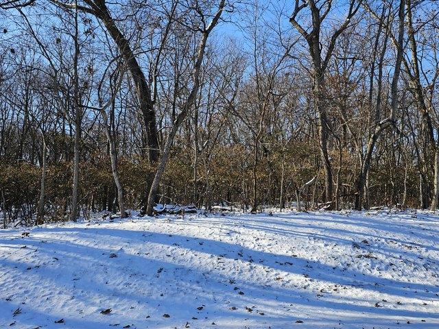 Land for sale in Hillsboro, Illinois