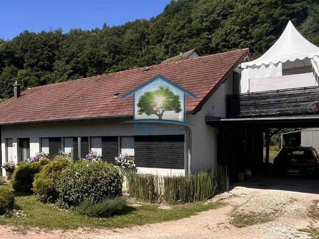 Maison vente à Sarreguemines, Meisenthal
