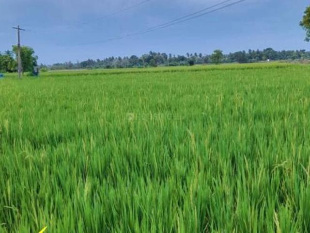 Land for sale in Kalpakkam, Tamil Nadu