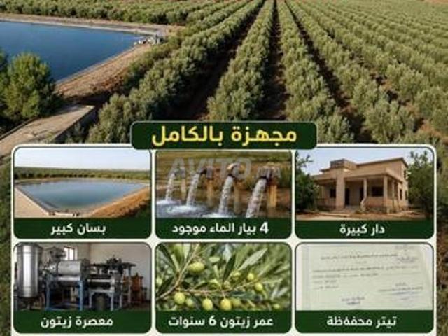 Propriété vente à Meknès