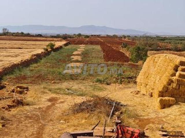 Propriété vente à Meknès