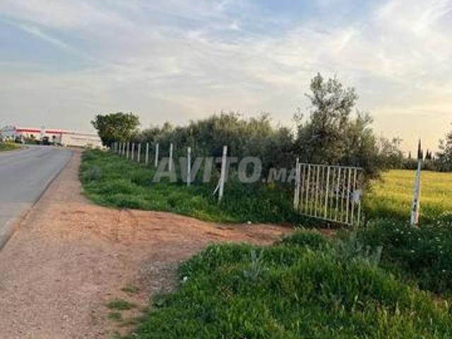 Propriété vente à Meknès