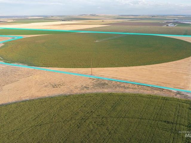 Farm for sale in Melba, Idaho