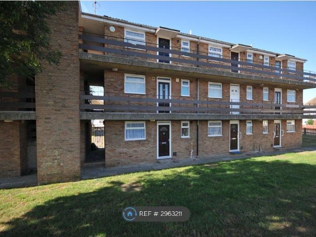 Studio for rent in Newington, Acol