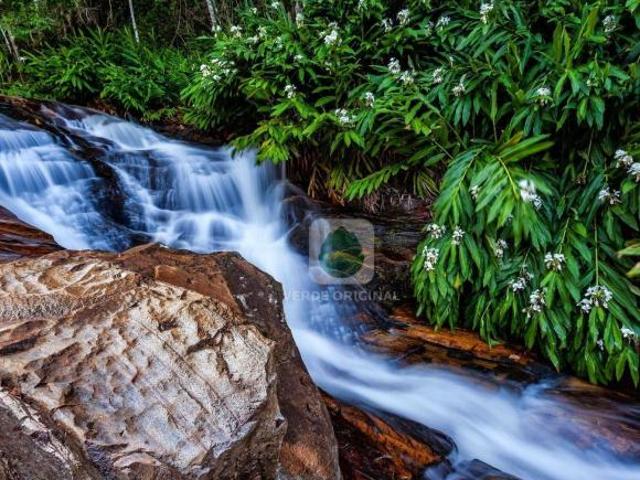 Terreno venda em Região Imediata de Taubaté-Pindamonhangaba, Região Metropolitana do Vale do Paraíba e Litoral Norte