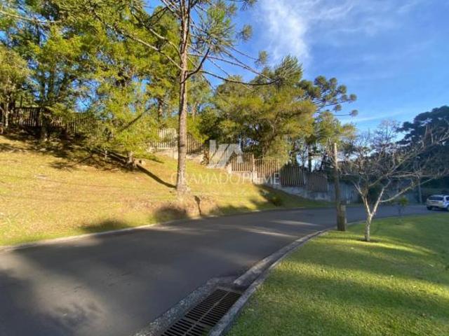 Terreno venda em Gramado