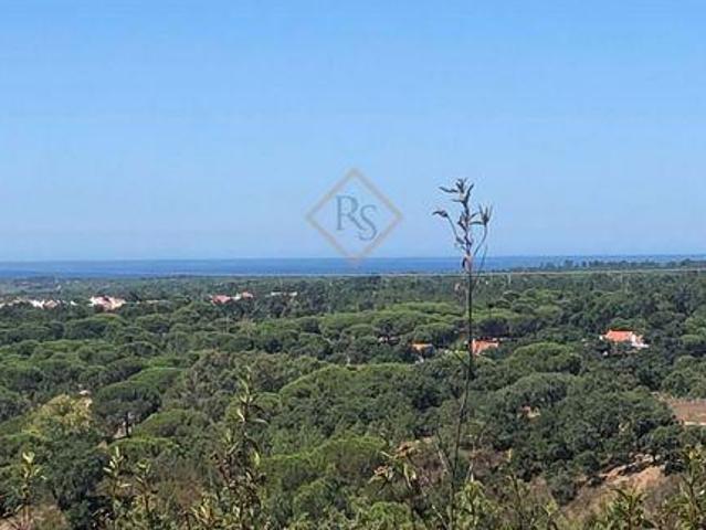 Terreno venda em Grândola, Setúbal