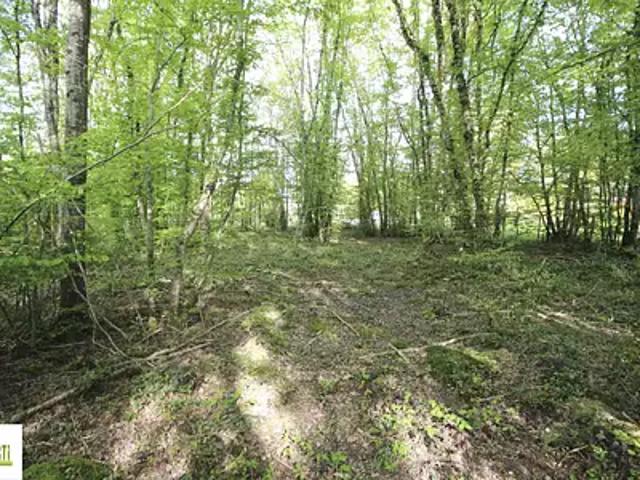 Terrain vente à Montargis, Melleroy