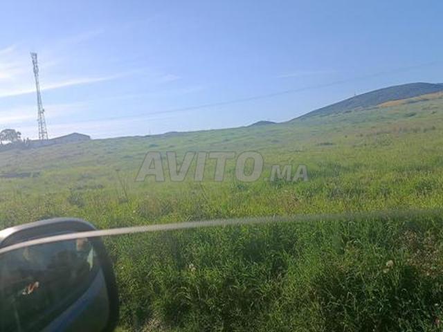 Propriété vente à Aït Melloul, Oued ed Dahab-Lagouira