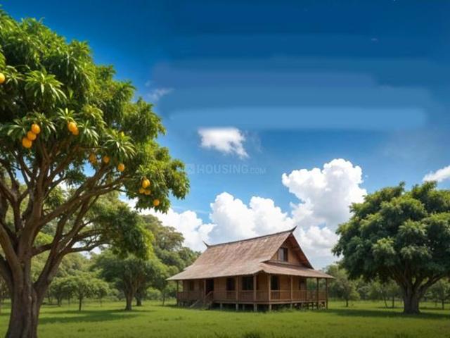 Farm for sale in Cheyyur, Tamil Nadu