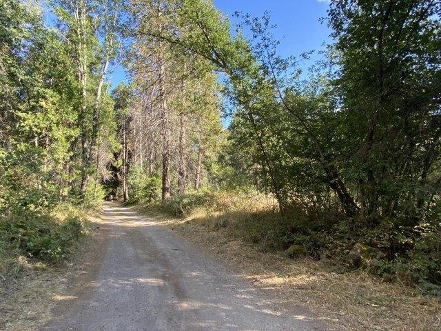 Land for sale in Mount Shasta, California