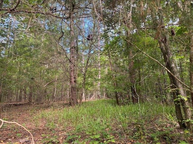 Land for sale in Waverly Hall, Georgia