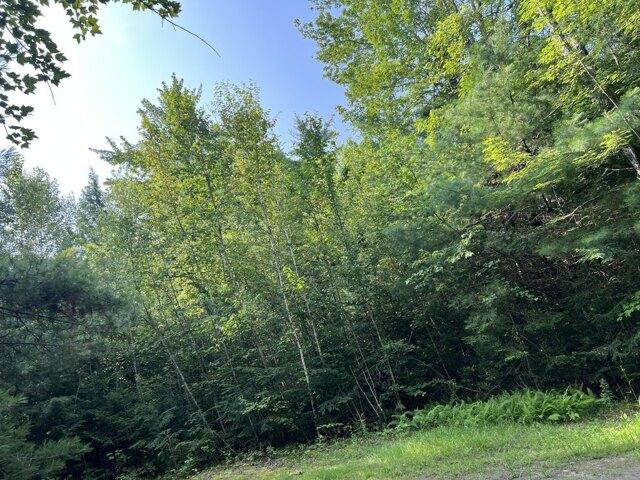 Land for sale in Bradford, Maine