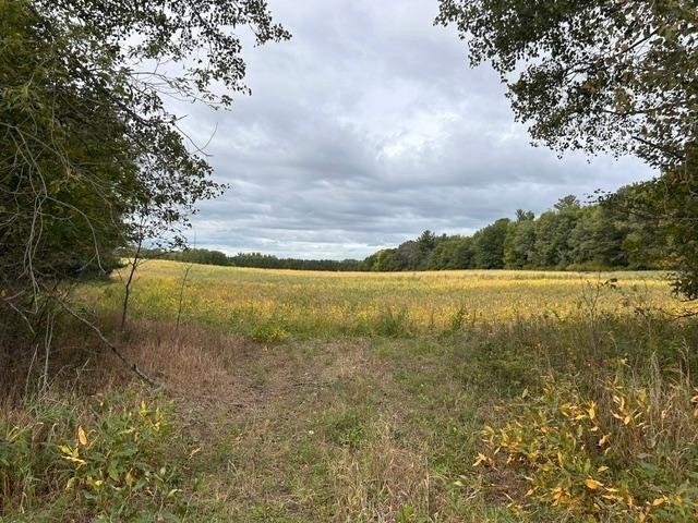 Land for sale in Braham, Isanti County