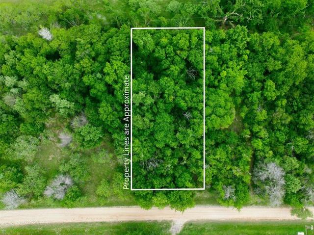 Land for sale in Elm Mott, Texas