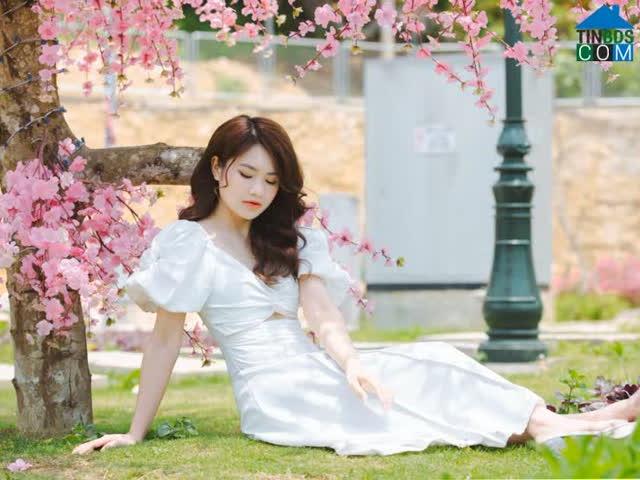 Căn hộ bán tại Hoàn Kiếm, Hà Nội