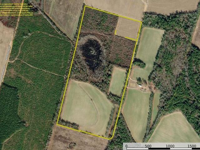 Land for sale in Springfield, Orangeburg County