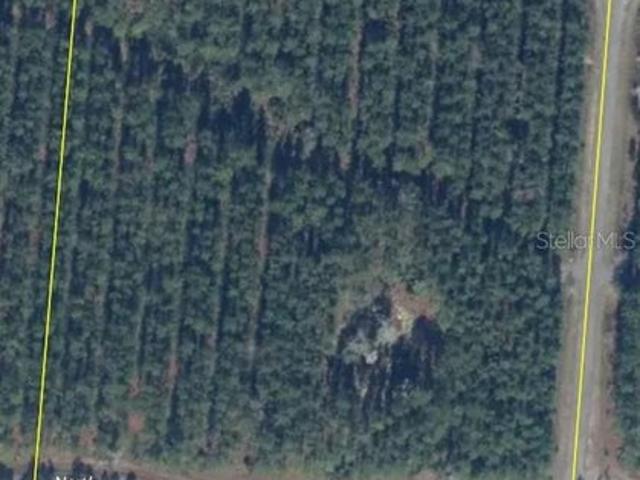 Land for sale in Florida