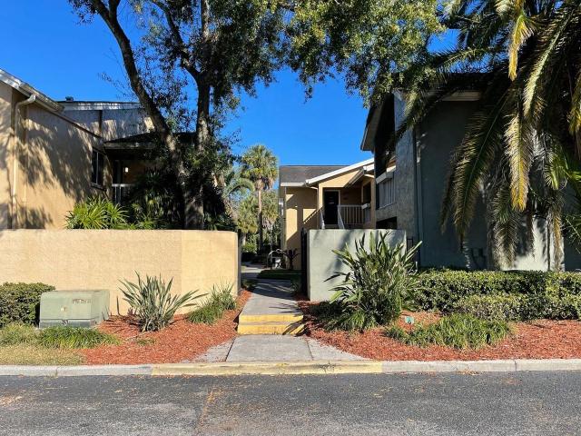 Apartment for rent in Tampa, Florida