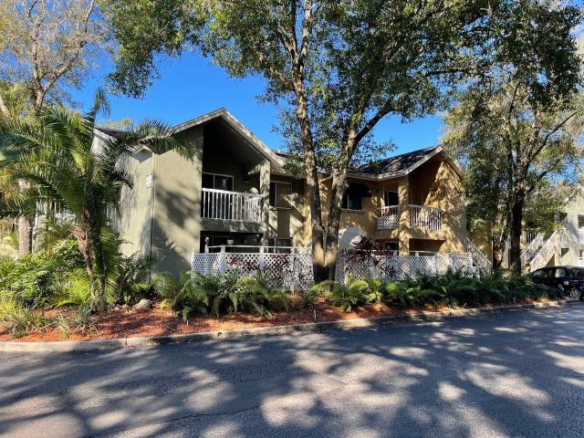 Apartment for rent in Tampa, Florida