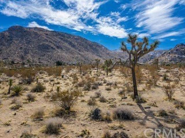 Land for sale in Joshua Tree, California