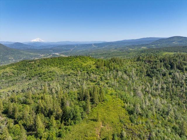 Land for sale in Shasta, California