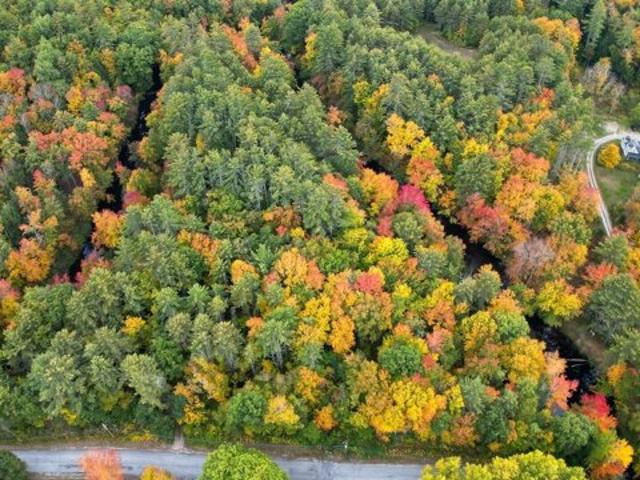Land for sale in Bradford, Merrimack County