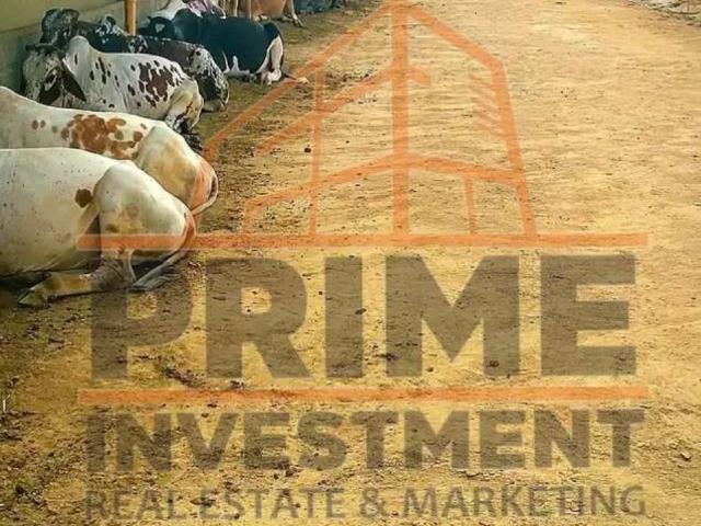 Land for sale in North Waziristan, Federally Administered Tribal Areas fata