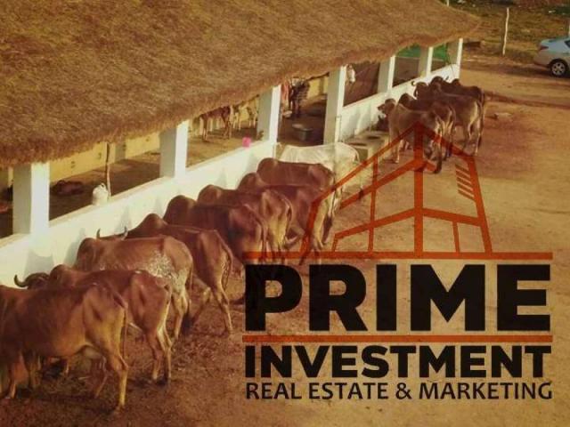 Land for sale in North Waziristan, Federally Administered Tribal Areas fata