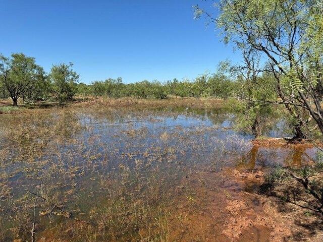 Land for sale in Snyder