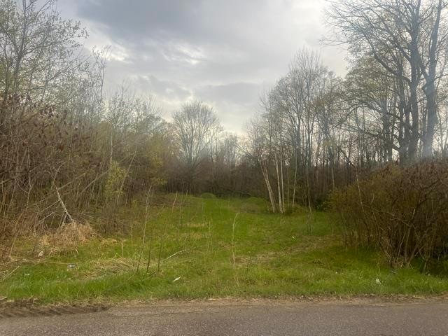 Land for sale in Wabeno, Wisconsin