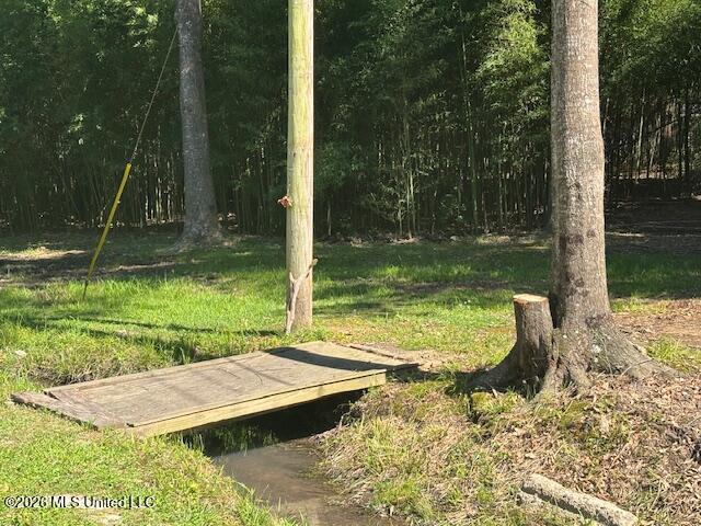 Land for sale in Tylertown, Mississippi