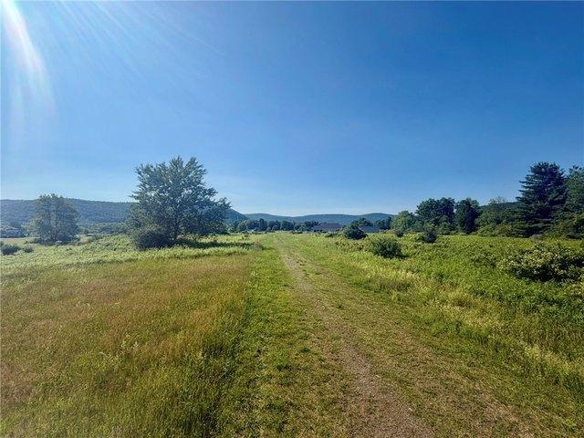 Land for sale in Laurens, New York