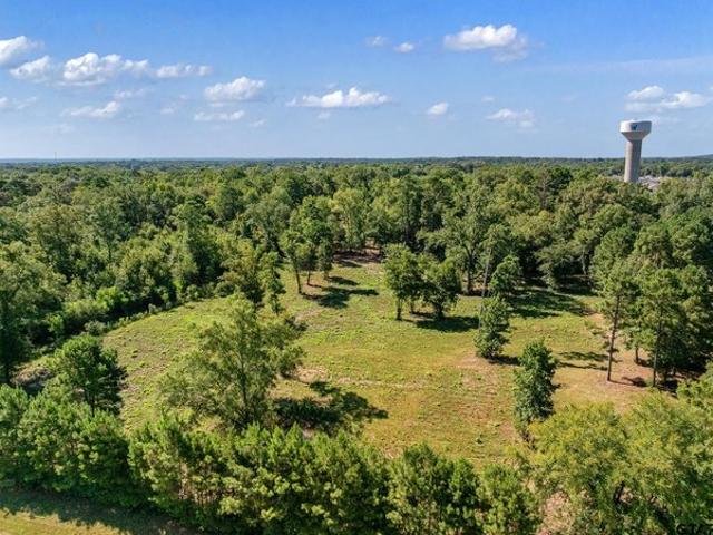 Land for sale in Smith, Texas